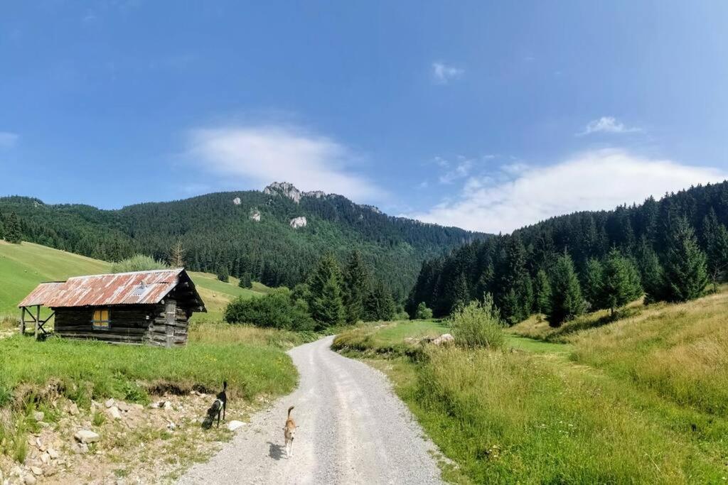Drevenica Harmony Villa Ruzomberok Buitenkant foto